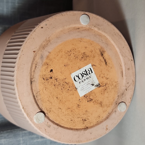 Soft Pink Textured Abstract Pattern Ceramic Pot - Picture 6 of 10